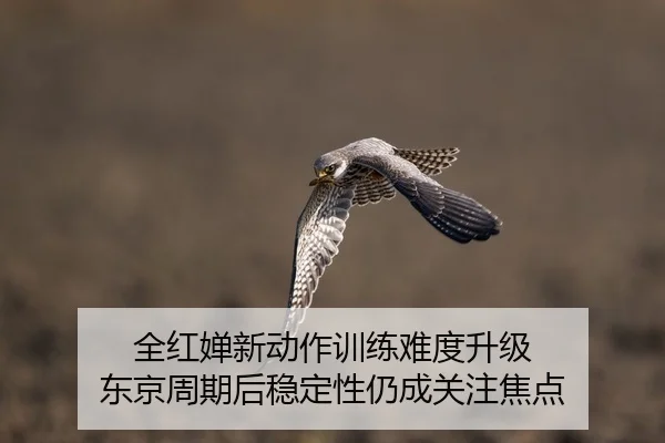 全红婵新动作训练难度升级 东京周期后稳定性仍成关注焦点